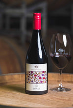 Load image into Gallery viewer, 2023 Single Vineyard Shiraz
