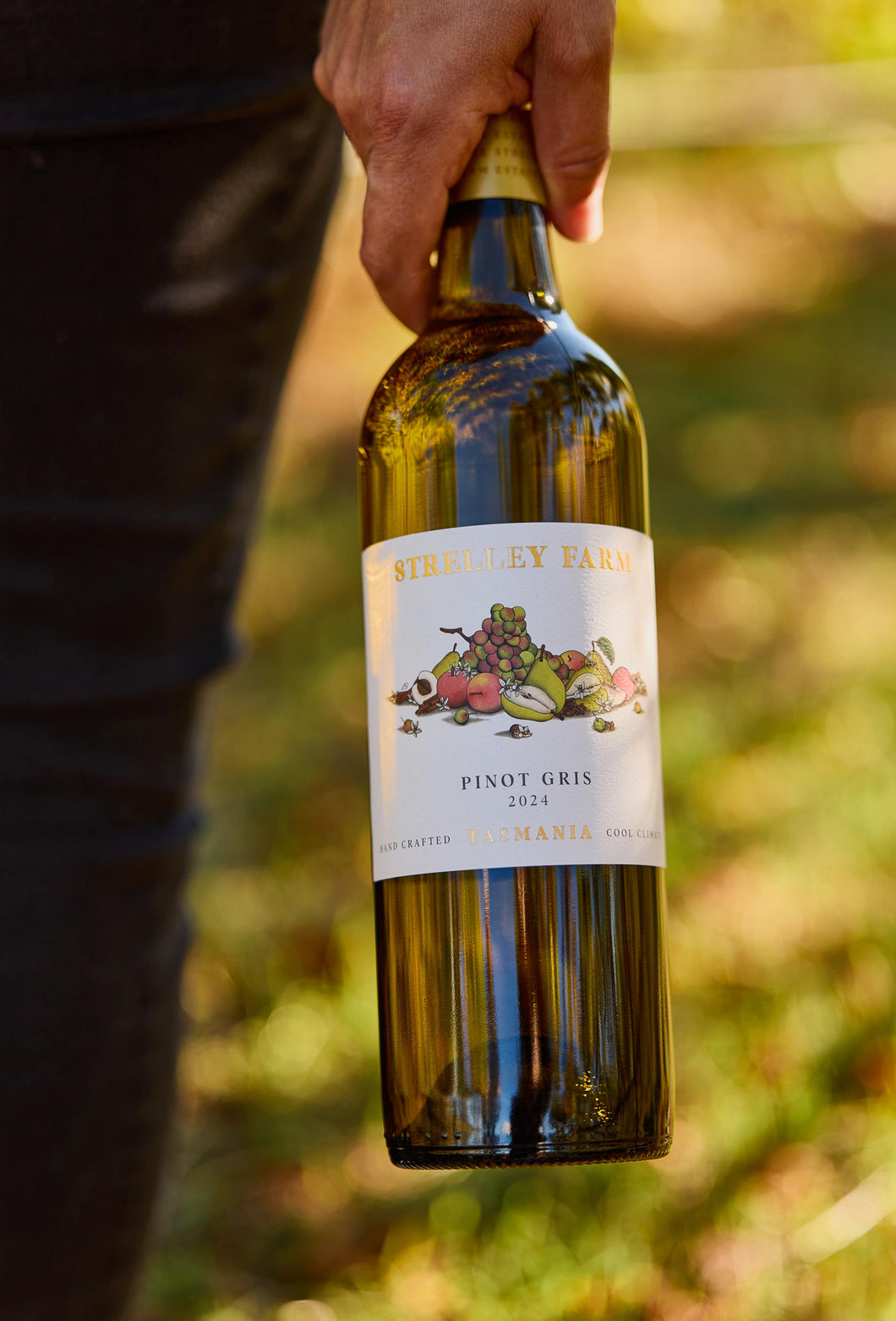 Strelley Farm Estate 2024 Pinot Gris – Fogarty Hall Fine Wine Estates